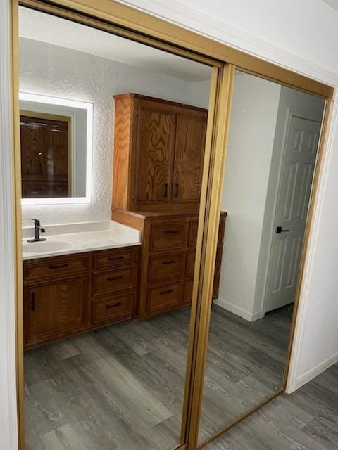 bathroom featuring hardwood / wood-style flooring and vanity