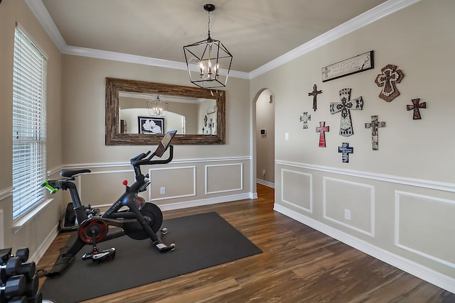 exercise area with dark hardwood / wood-style flooring, a wealth of natural light, and ornamental molding