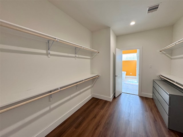 walk in closet with dark hardwood / wood-style flooring