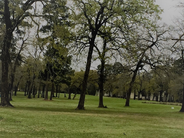 surrounding community featuring a lawn