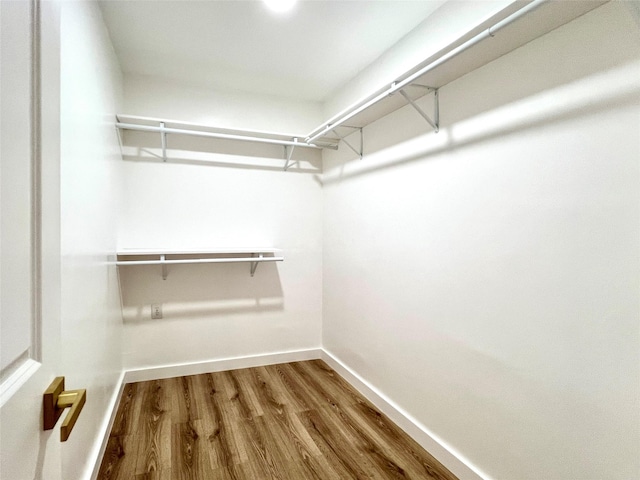 walk in closet featuring wood finished floors