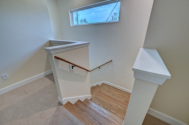 staircase featuring carpet