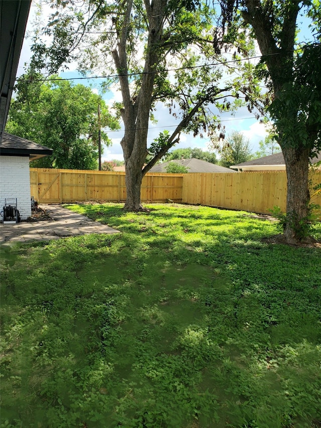 view of yard featuring a patio area