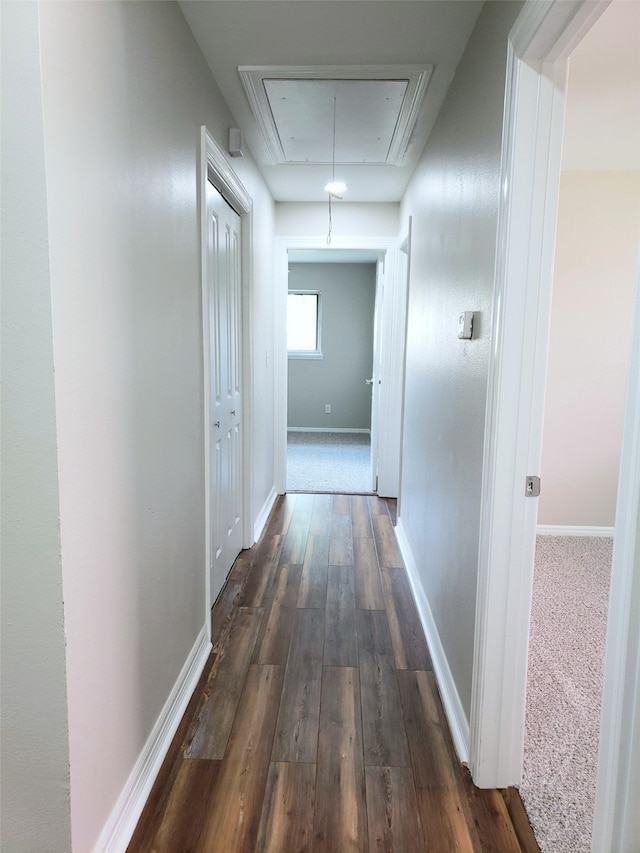 corridor featuring dark hardwood / wood-style floors