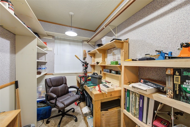 office featuring carpet and a textured ceiling