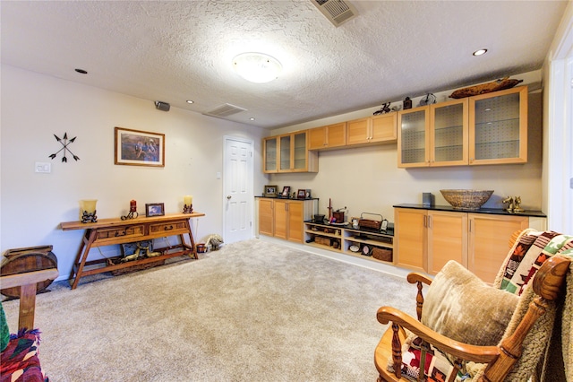 interior space with light carpet, a textured ceiling, and light brown cabinets