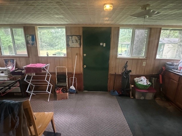 misc room with wooden walls and carpet flooring