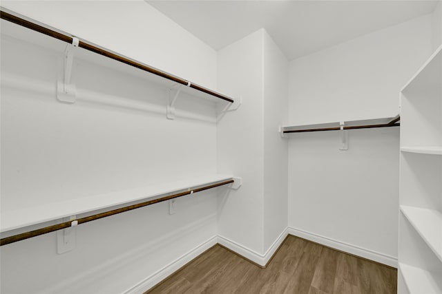 walk in closet with wood-type flooring