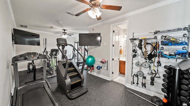 interior space with ceiling fan and ornamental molding