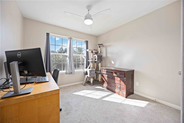 carpeted office with ceiling fan