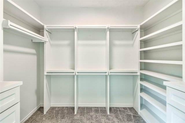 448 Brahman, Onalaska, TX 77360 - spacious closet featuring carpet