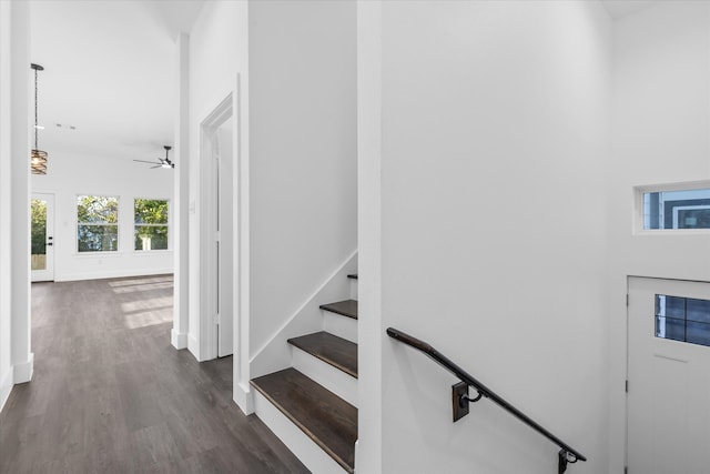 staircase with wood-type flooring and ceiling fan