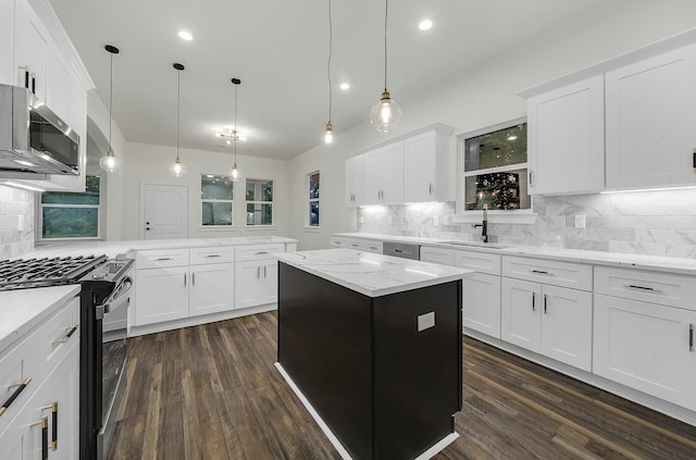 kitchen with hanging light fixtures, dark hardwood / wood-style floors, appliances with stainless steel finishes, and a kitchen island