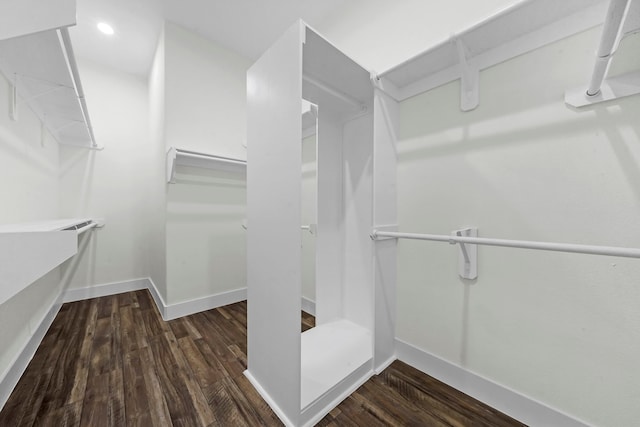 walk in closet with dark hardwood / wood-style floors