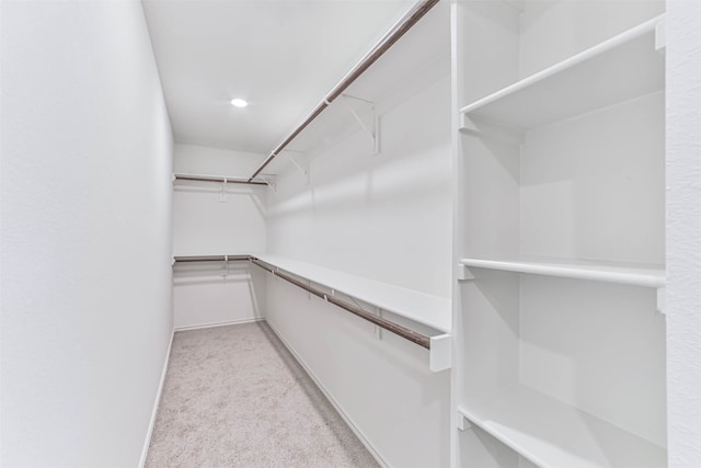 spacious closet with light carpet