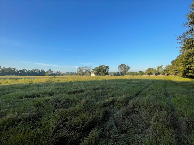 view of nature with a rural view