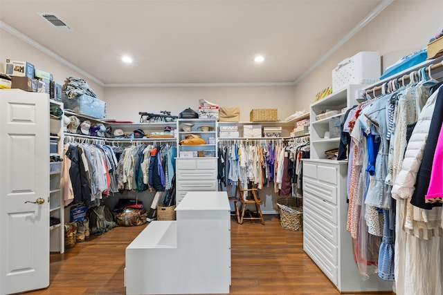 walk in closet featuring dark hardwood / wood-style floors