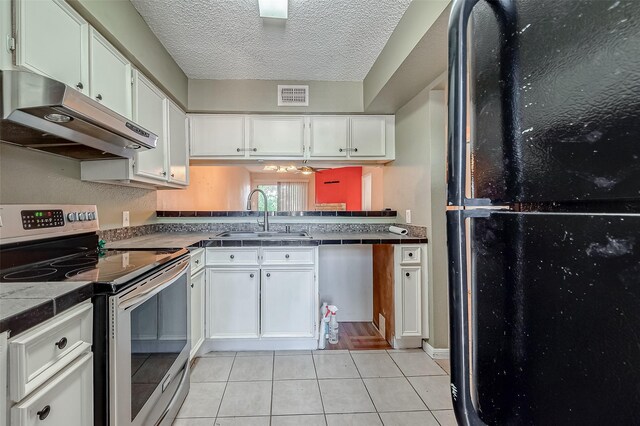1505 Ward Rd Unit 214, Baytown, TX 77520 - kitchen with visible vents, under cabinet range hood, a sink, electric range, and freestanding refrigerator