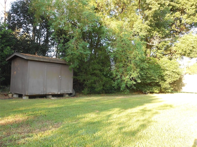 view of yard featuring a shed