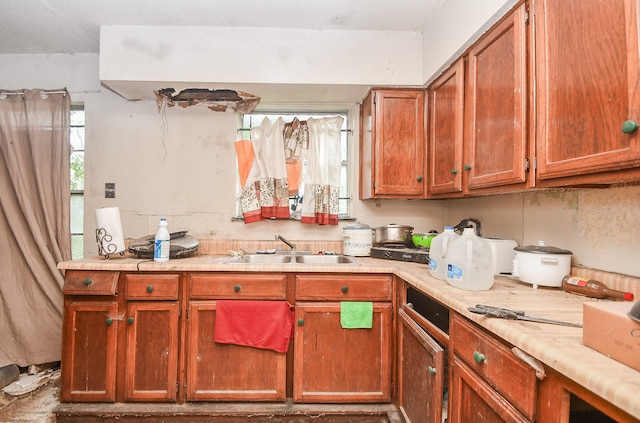 kitchen featuring sink