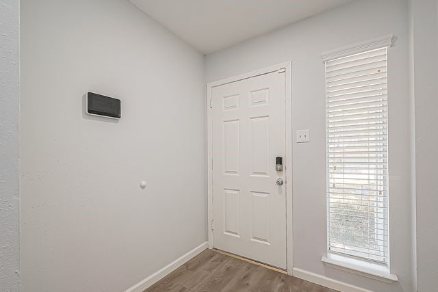 entrance foyer with wood-type flooring