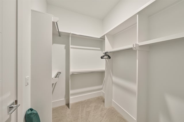 spacious closet with light colored carpet