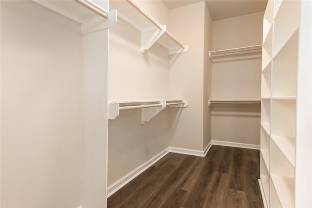 spacious closet with dark wood-type flooring