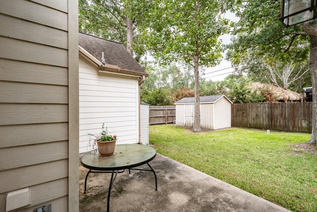 view of yard with a patio and a shed