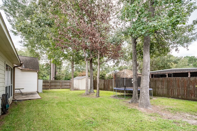 view of yard featuring a patio and a trampoline