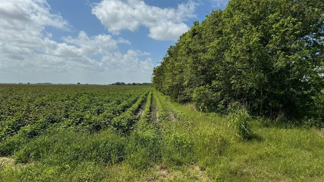 Listing photo 2 for TBDLOT1 County Road 414, El Campo TX 77437