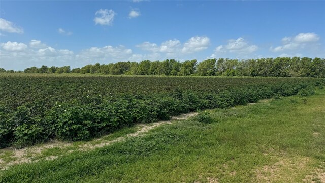 Listing photo 3 for TBDLOT1 County Road 414, El Campo TX 77437