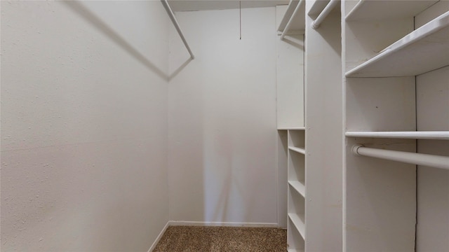 spacious closet with carpet