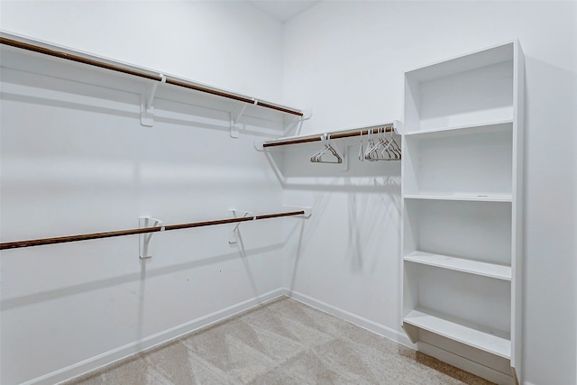 spacious closet with light carpet