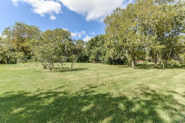 Listing photo 3 for 5362 Appleblossom Ln, Friendswood TX 77546