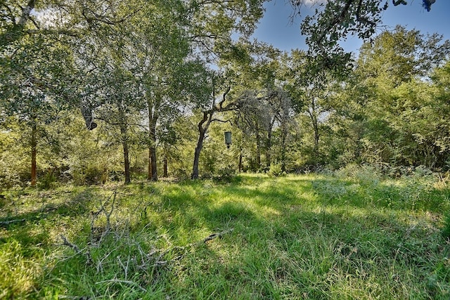 TBD County Road 134, Hallettsville TX, 77964 land for sale