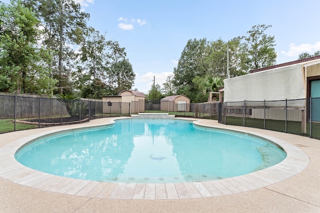 view of swimming pool featuring a storage shed