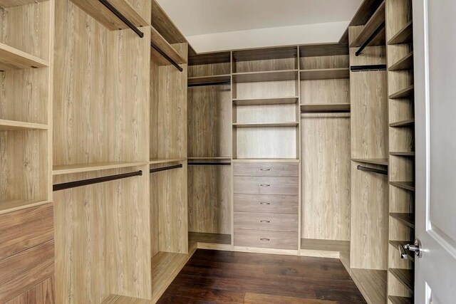 walk in closet featuring dark wood-type flooring