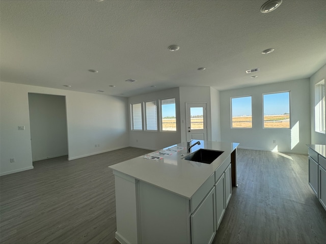 kitchen featuring a center island with sink, hardwood / wood-style flooring, a healthy amount of sunlight, and sink