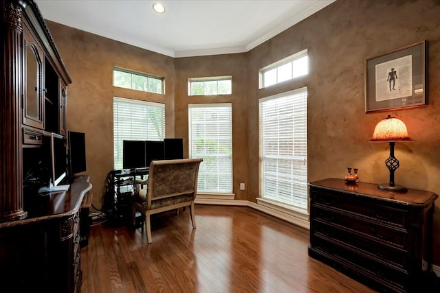 office space with dark hardwood / wood-style floors and ornamental molding