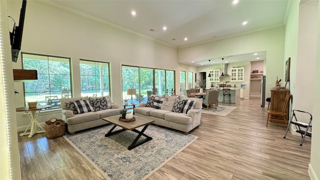 living room featuring crown molding, a high ceiling, and light hardwood / wood-style floors