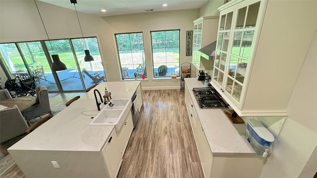 kitchen with white cabinetry, light hardwood / wood-style flooring, decorative light fixtures, and sink