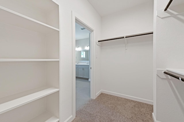 spacious closet with light colored carpet