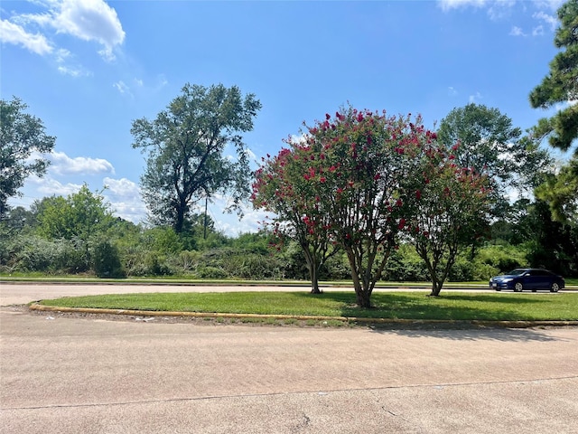 0 Ella Blvd, Houston, TX 77014