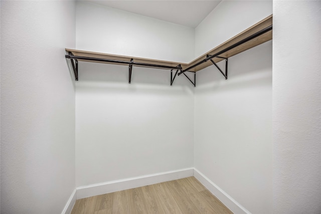 spacious closet with hardwood / wood-style flooring