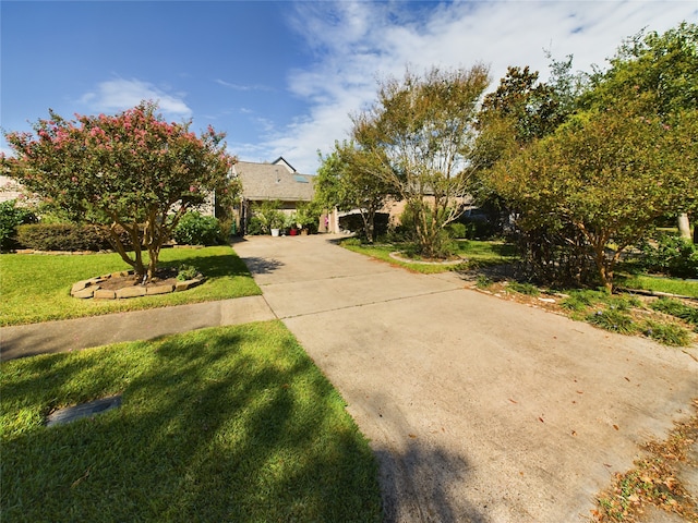 obstructed view of property with a front lawn