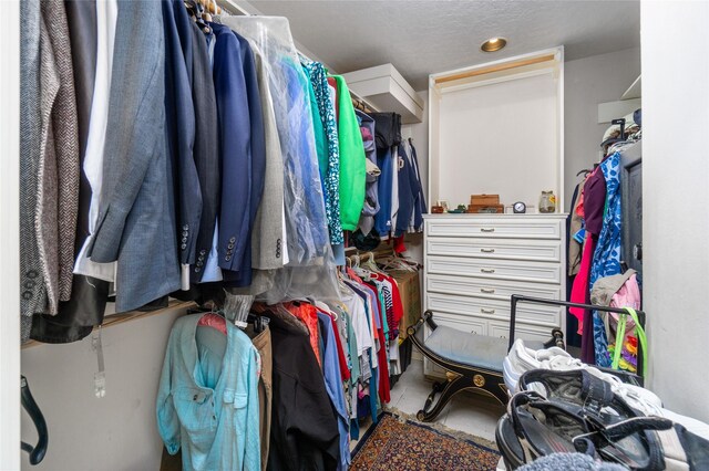 view of spacious closet