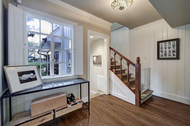 foyer entrance featuring crown molding, dark hardwood / wood-style flooring, and plenty of natural light