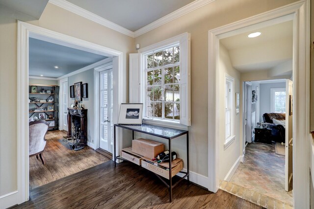 corridor with ornamental molding, hardwood / wood-style floors, and a healthy amount of sunlight