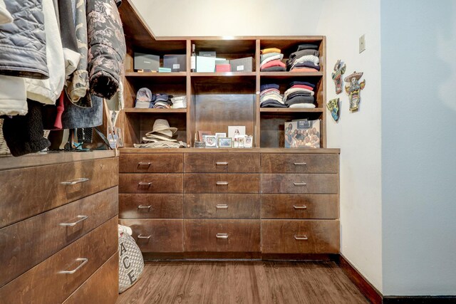 spacious closet with wood-type flooring