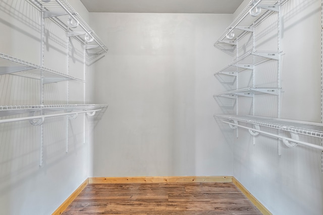 walk in closet with hardwood / wood-style flooring